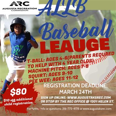 baseball flyer